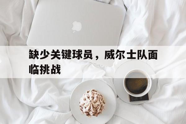 缺少关键球员，威尔士队面临挑战