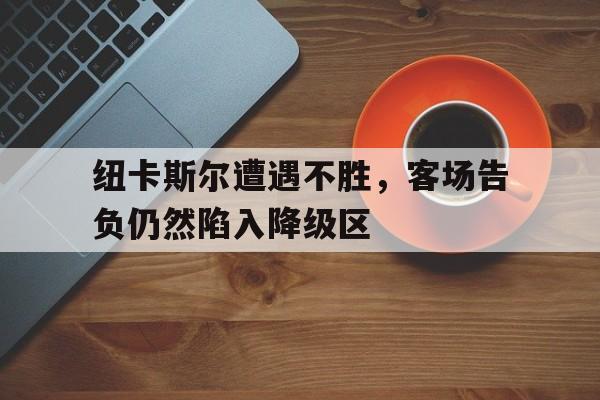 关于纽卡斯尔遭遇不胜，客场告负仍然陷入降级区的信息