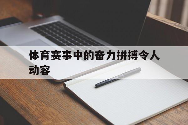 体育赛事中的奋力拼搏令人动容